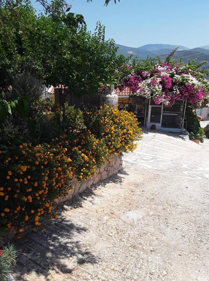 Elenh House Apartment Argostoli  Bagian luar foto