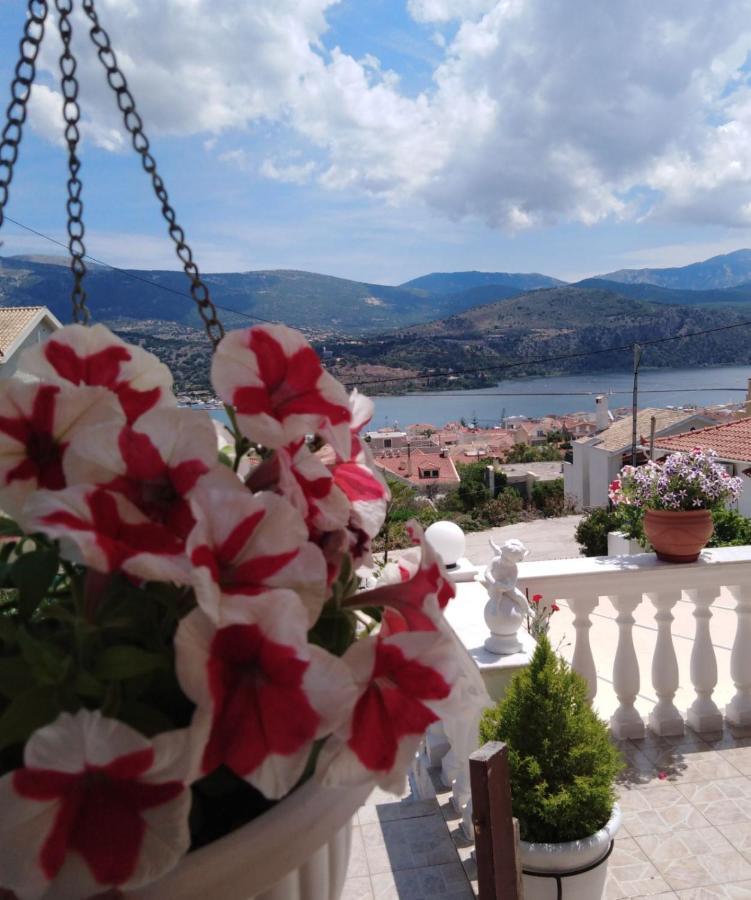 Elenh House Apartment Argostoli  Bagian luar foto