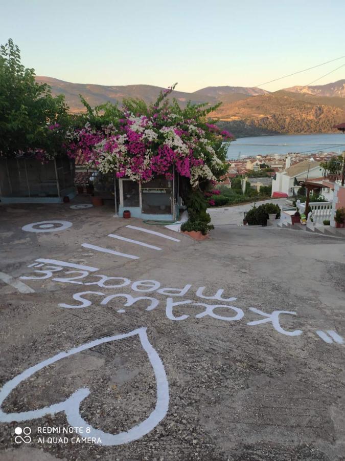 Elenh House Apartment Argostoli  Bagian luar foto