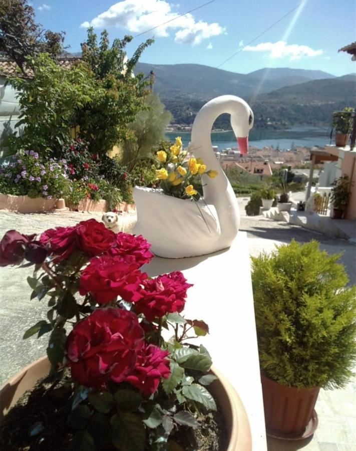 Elenh House Apartment Argostoli  Bagian luar foto
