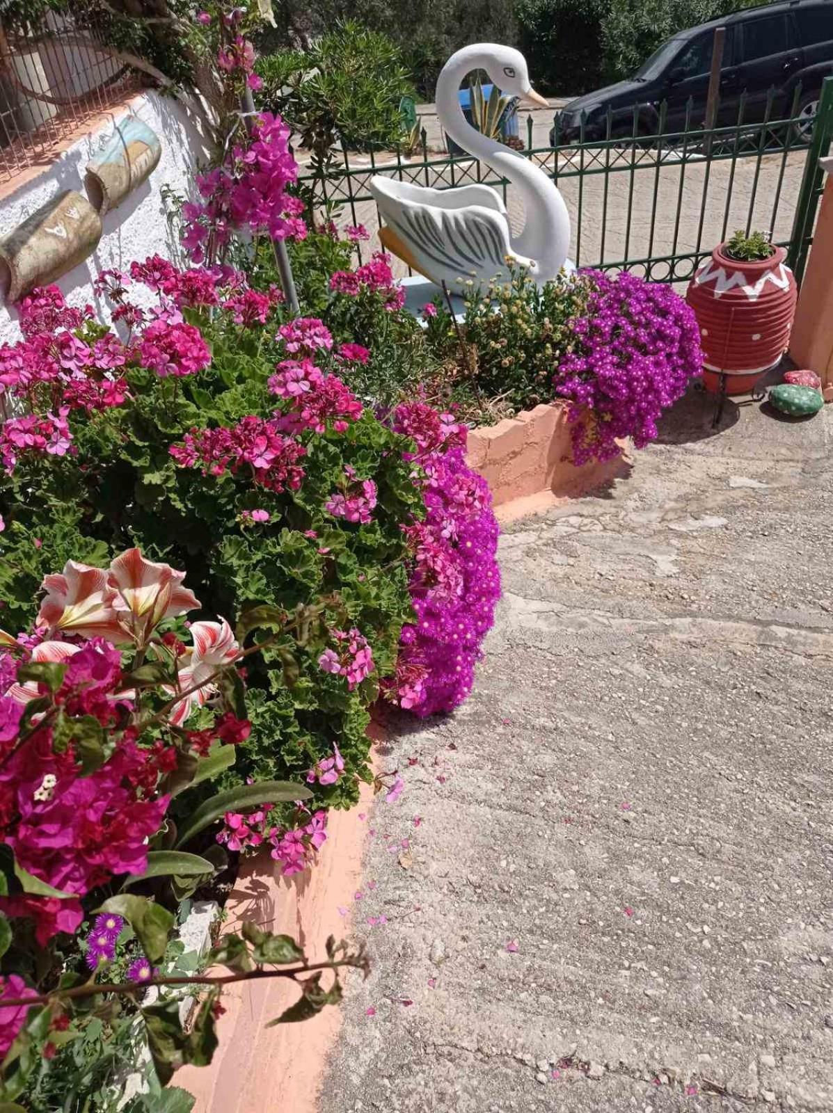 Elenh House Apartment Argostoli  Bagian luar foto